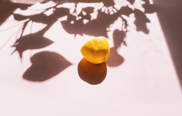 [공지] 처음 오신 분들께 인사